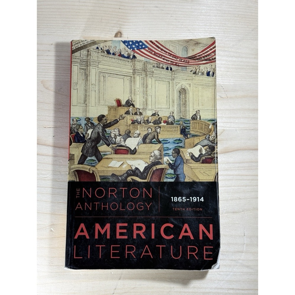 The Norton Anthology of American Literature Vol C 1865-1914 10th Ed Paperback